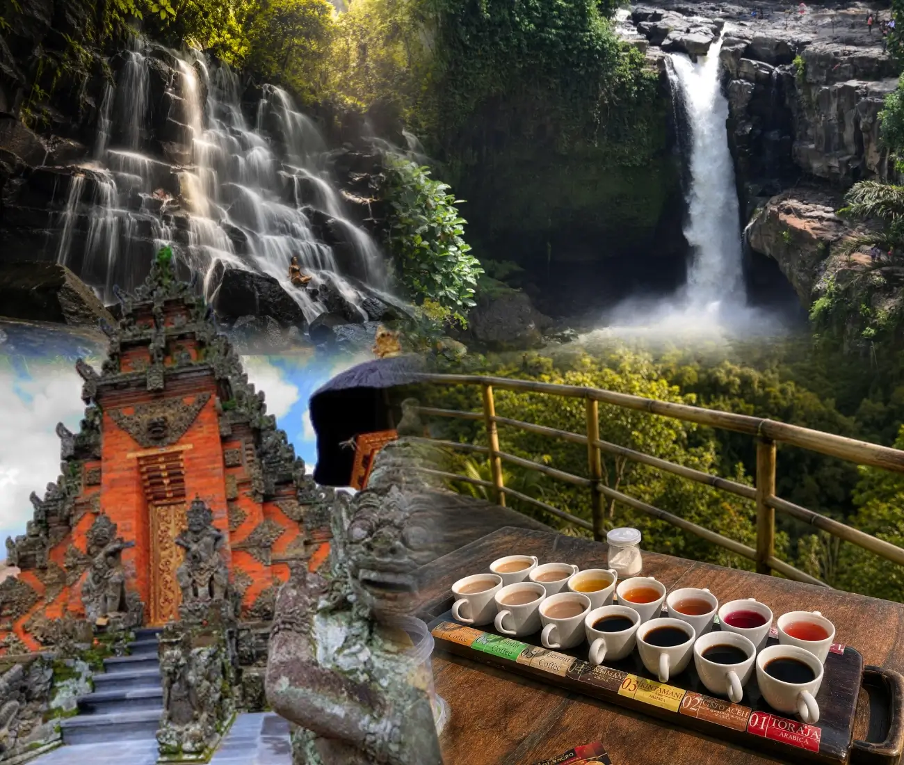 Bali Nature Tour